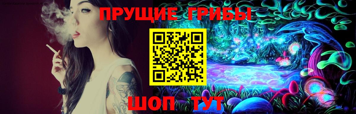 Псилоцибиновые грибы Psilocybine cubensis Новоуральск